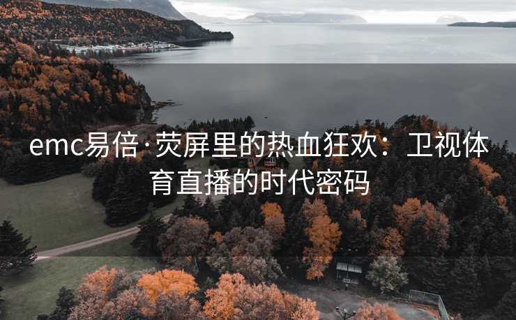 emc易倍·荧屏里的热血狂欢：卫视体育直播的时代密码