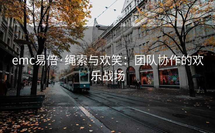 emc易倍·绳索与欢笑：团队协作的欢乐战场