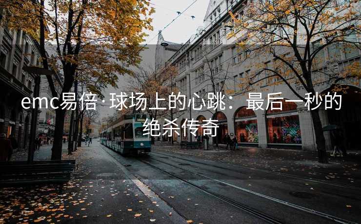 emc易倍·球场上的心跳：最后一秒的绝杀传奇